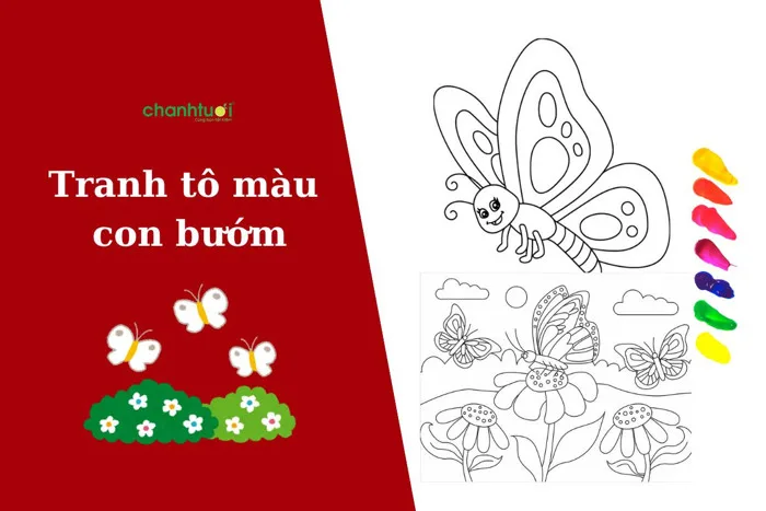 99+ tranh tô màu con bướm đơn giản, dễ tô cho các bé yêu 99+ tranh tô màu con bướm đơn giản, dễ tô cho các bé yêu