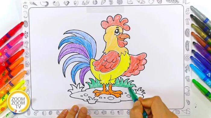 Hướng dẫn cách tô màu con gà trống thật đẹp lộng lẫy | ZoomZoomTV