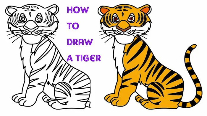 Vẽ Con Hổ Đơn Giản Và Tô Màu Cho Bé | How to draw a tiger Vẽ Con Hổ Đơn Giản Và Tô Màu Cho Bé | How to draw a tiger