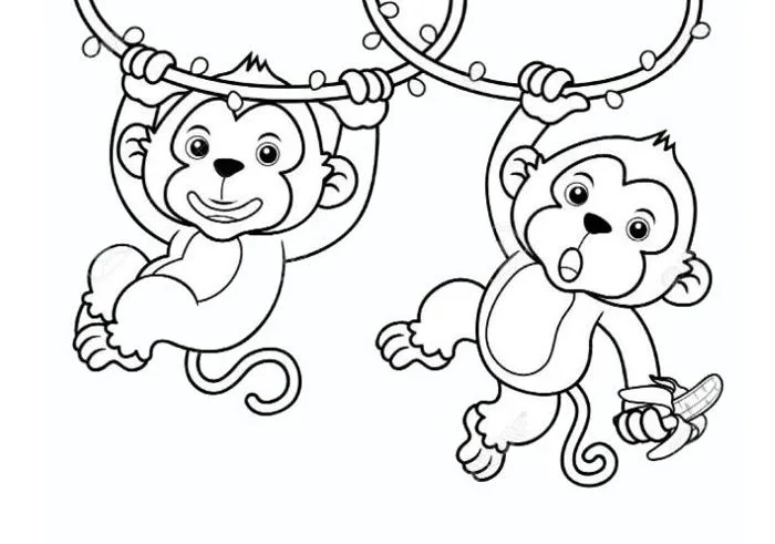 Tổng hợp hình ảnh con khỉ đẹp nhất -