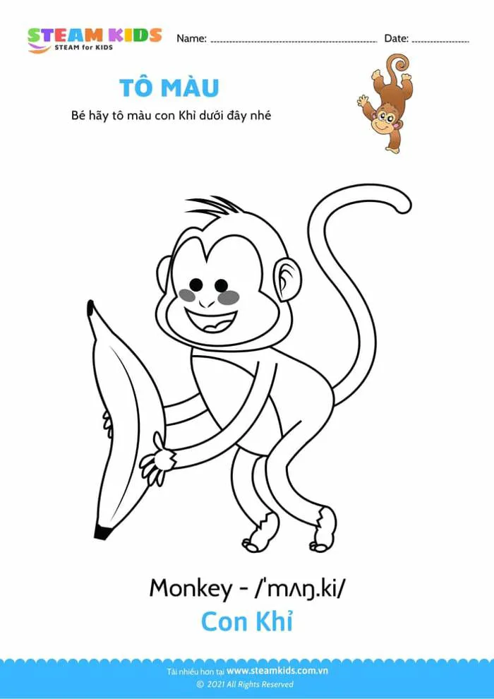 Tải miễn phí bài tập tô màu - Tô màu Con khỉ - STEAM KIDS