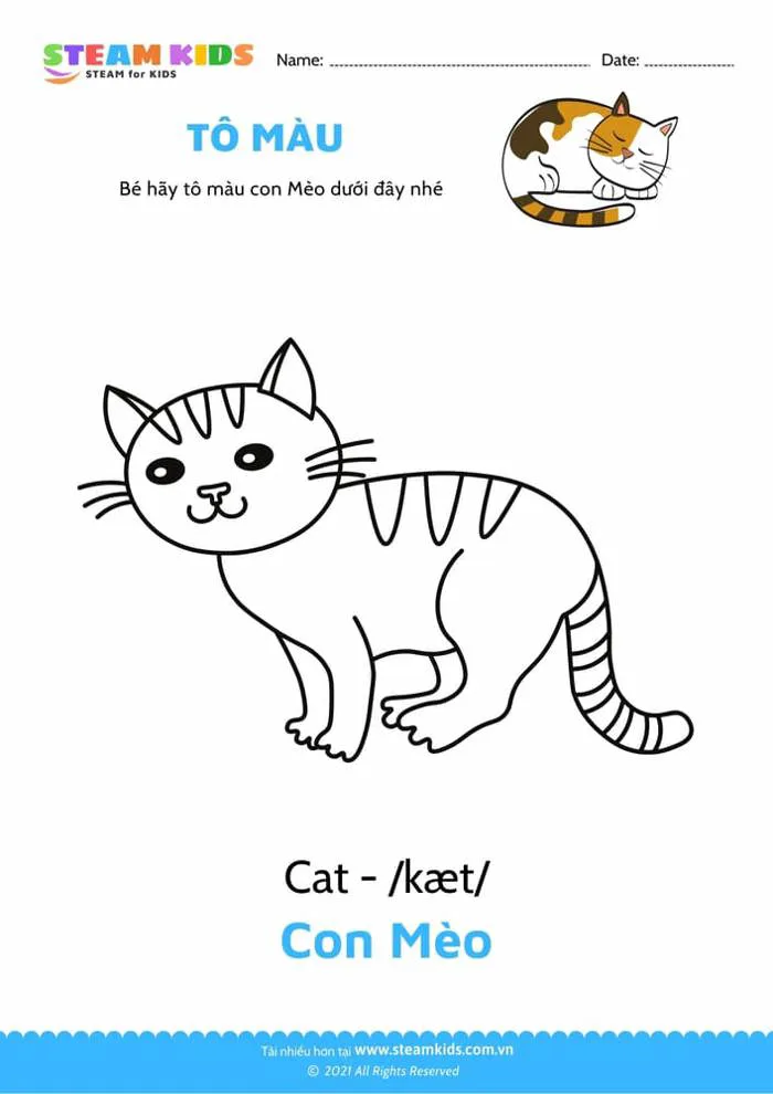 Tải miễn phí bài tập tô màu - Tô màu Con mèo - STEAM KIDS