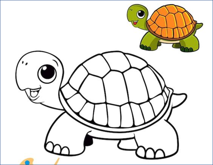 Tranh tô màu con rùa (chủ đề động vật)