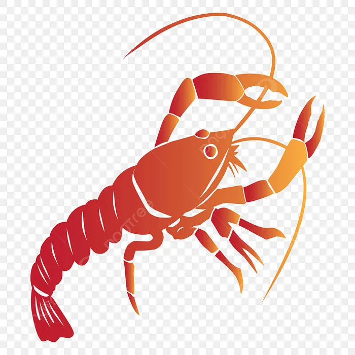 Tranh Tô Màu Con Tôm Hình ảnh PNG | Vector Và Các Tập Tin PSD | Tải Về Miễn  Phí Trên Pngtree
