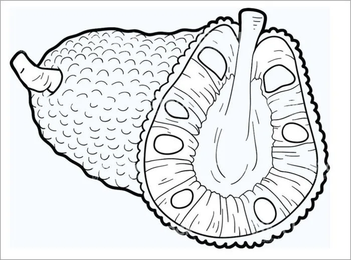Clipart Black and White Jackfruit | Sách tô màu, Tô màu trái cây, Tranh tô  màu
