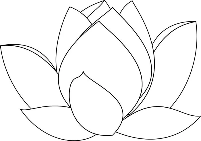 Tranh tô màu hoa sen Tranh tô màu hoa sen