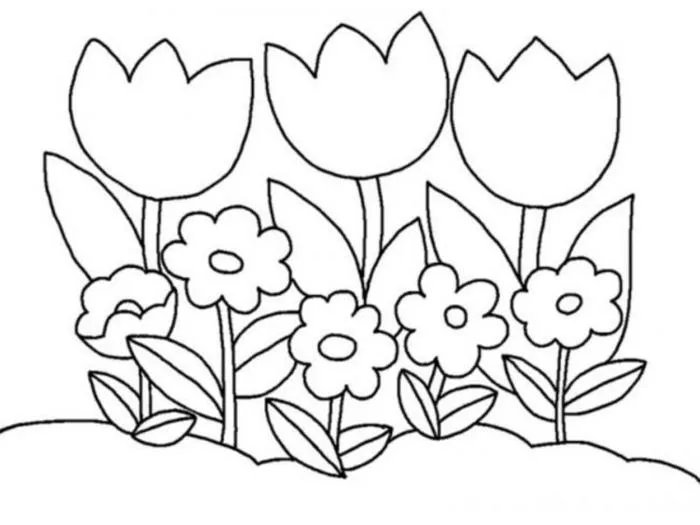 Tranh tô màu hoa tulip đẹp dễ tô cho bé và người lớn tại nhà