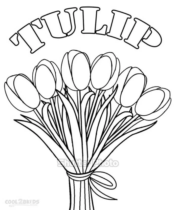50+ Tranh tô màu hoa tulip xin tươi nhất dễ tải dễ in Update 2026