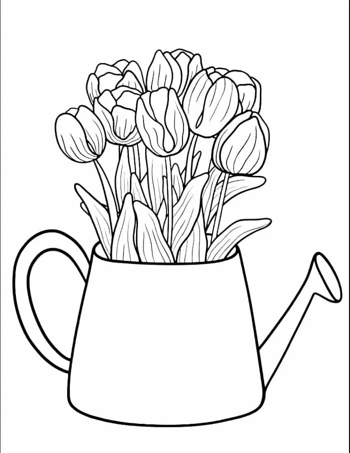 Tô Màu Hoa Tulip - Tranh Tô Màu Cho Bé