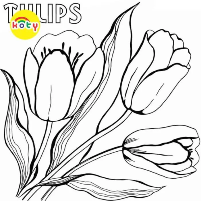 Tranh Tô Màu Hoa Tulip - Bộ 20 Tờ Tranh Tô Màu A4 A5 Dành Cho Màu Sáp, Màu  Chì - TRANH TÔ MÀU KOTY | Lazada Việt Nam
