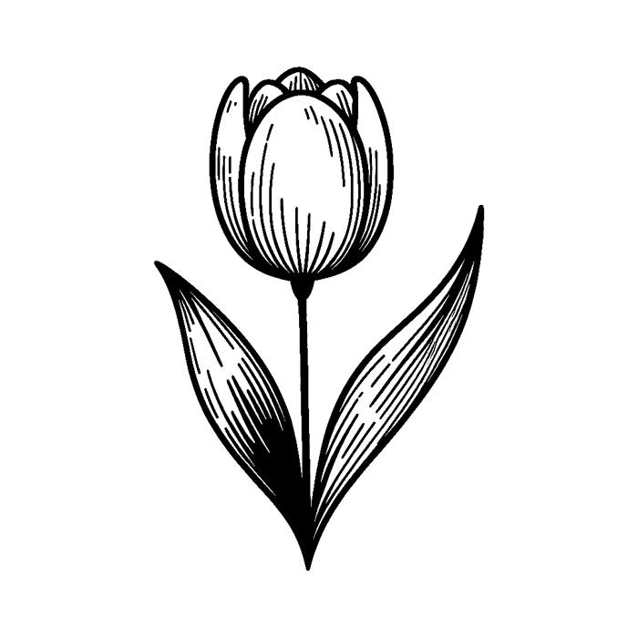 35 bông hoa tulip để tô màu - Tải xuống và in file PDF