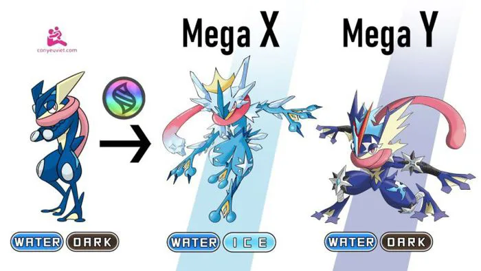12+Tranh tô màu Pokemon Mega khiến con yêu mê mẩn | conyeuviet com