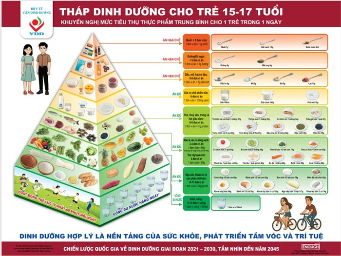 Dinh dưỡng học đường theo tháp dinh dưỡng: Nền tảng cho thể lực, trí lực và  tầm vóc tương lai