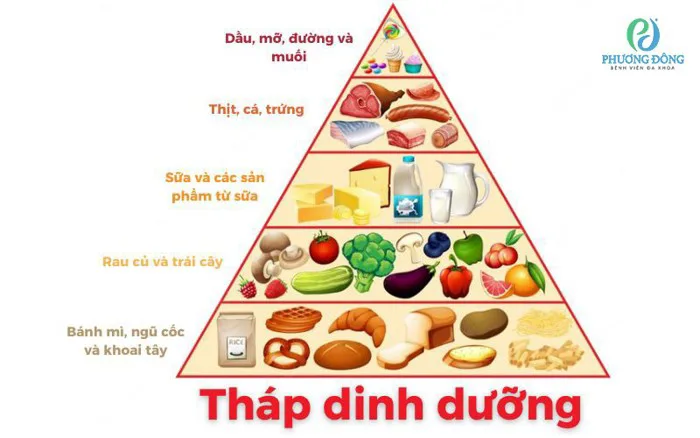 Tháp dinh dưỡng cân đối: Bí quyết để có cơ thể khỏe mạnh
