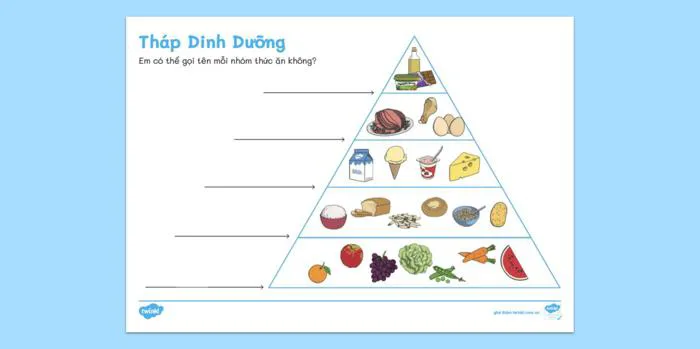 Phiếu Bài Tập Tháp Dinh Dưỡng