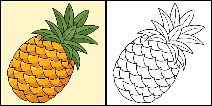 Hình ảnh Tranh Tô Màu Quả Dứa Minh Họa Màu đường Nét Trái Cây Mùa Hè Vector  PNG , Bản Vẽ Quả Táo, Vẽ Trái Cây, Vẽ Chuột minh họa trên Pngtree,