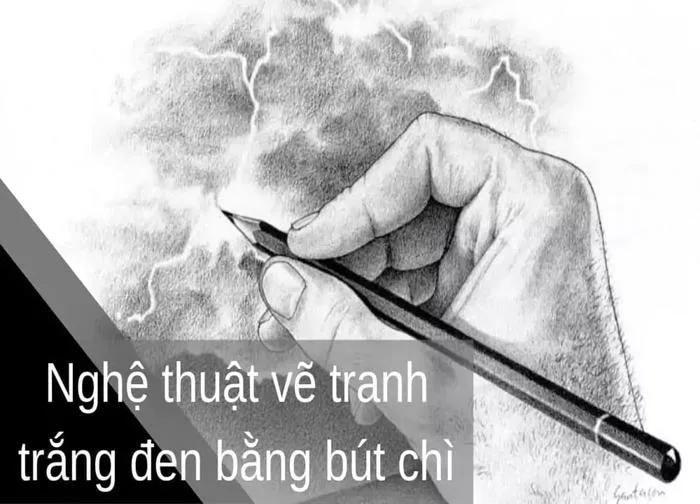 Nghệ thuật vẽ tranh trắng đen bằng bút chì - Jolla.vn
