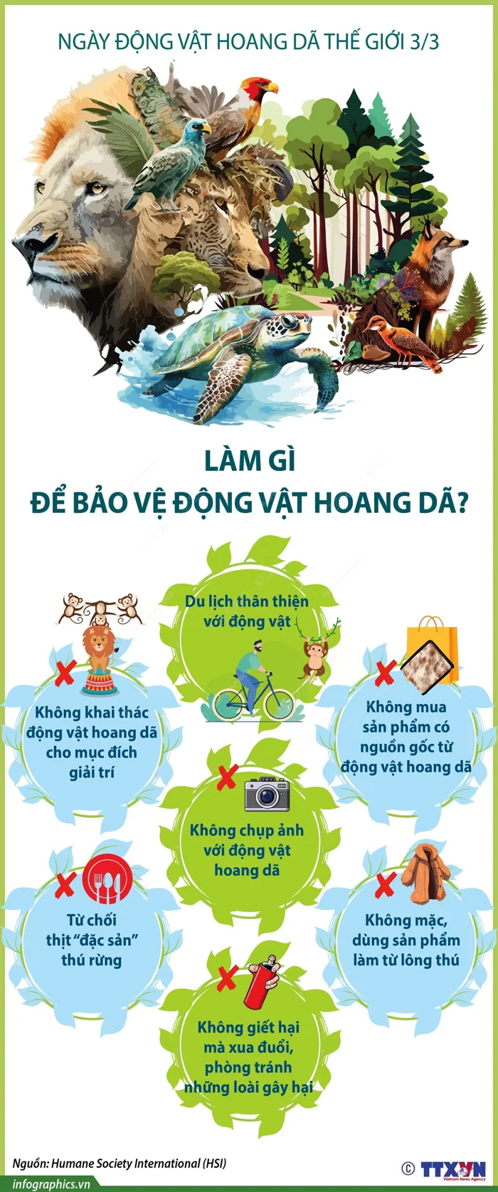 Ngày Động vật hoang dã thế giới (3/3): Làm gì để bảo vệ động