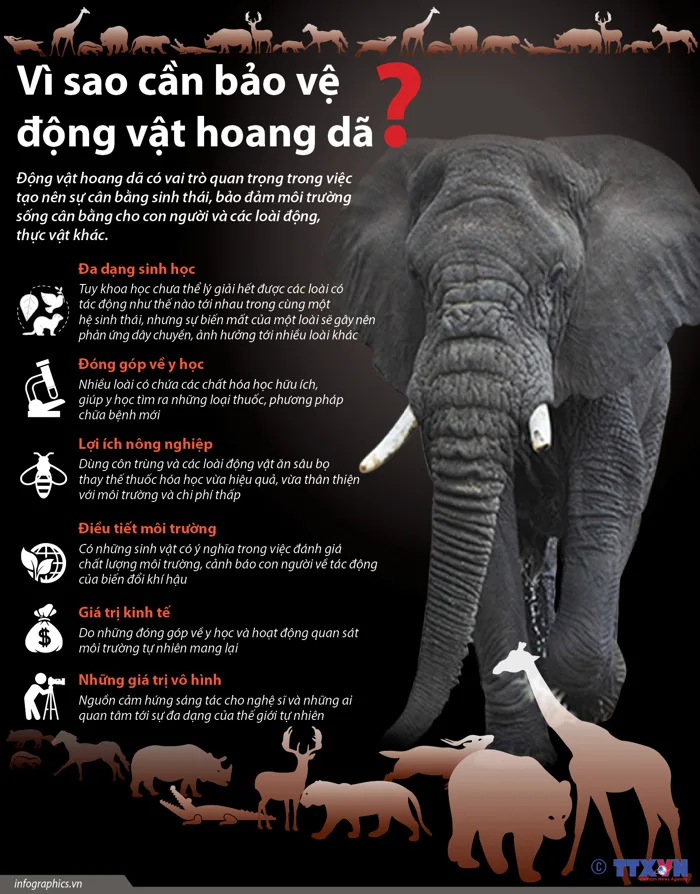 Vì sao cần bảo vệ động vật hoang dã?