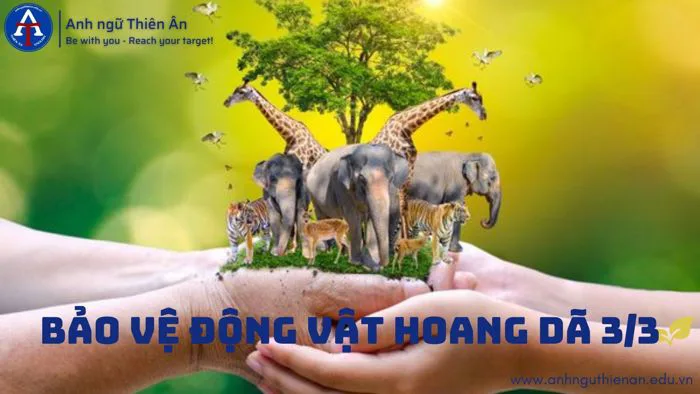 Bảo Vệ Động Vật Hoang Dã 3/3 - Những Điều Cần Biết