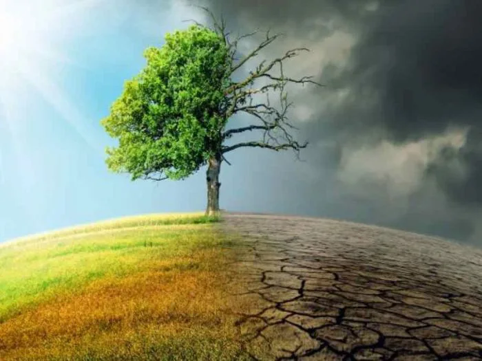 Hình ảnh biến đổi khí hậu: Toàn cảnh từ Bản Đồ Việt 2025