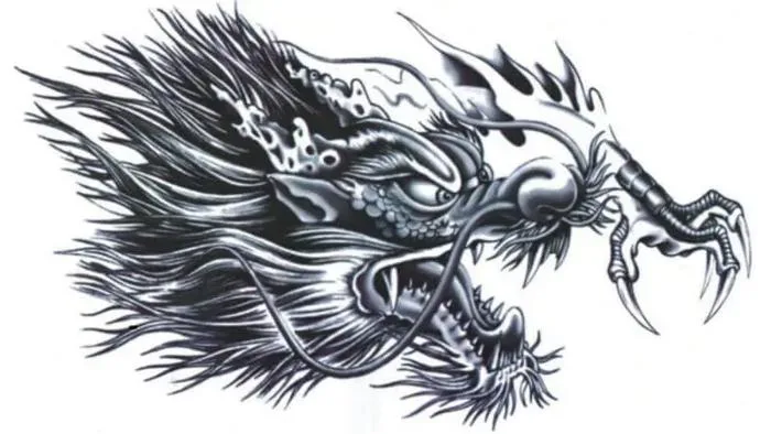 Vẽ rồng: Hướng dẫn từng bước cho người mới bắt đầu