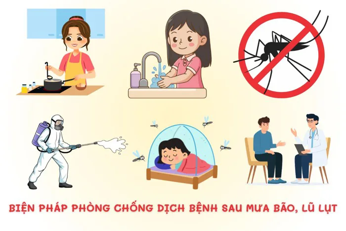 Hướng dẫn cách vệ sinh môi trường, phòng chống dịch bệnh sau thiên tai mưa  bão, lũ lụt