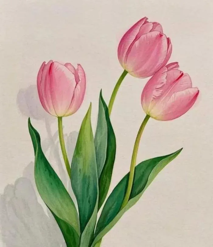 99+ Tranh hoa tulip treo tường nghệ thuật - Cách vẽ ấn tượng