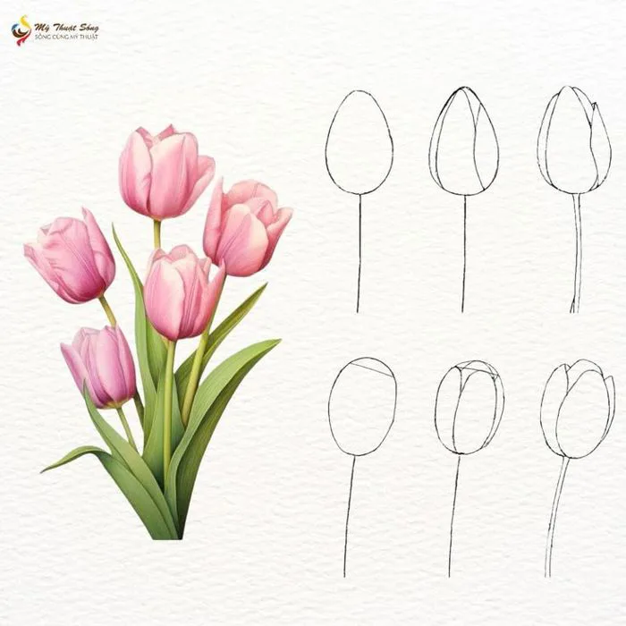 CÔNG THỨC VẼ HOA TULIP 🌷 Hoa tulip đã bắt đầu vào độ đẹp nhất. Dọc theo  dãy phố Hoàng Hoa Thám, ai nấy nô nức sắm cho mình một chậu hoa