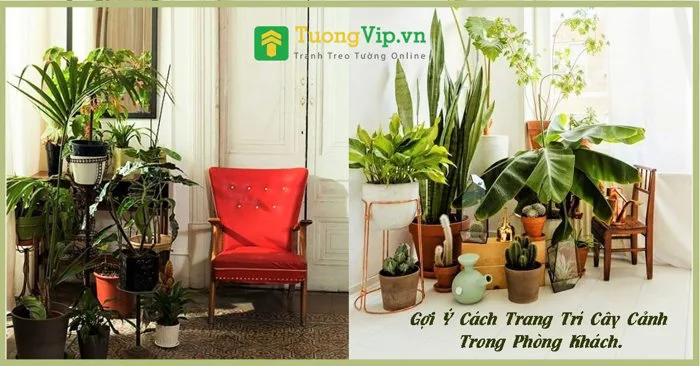 10 cách trang trí cây cảnh trong phòng khách đúng phong thủy