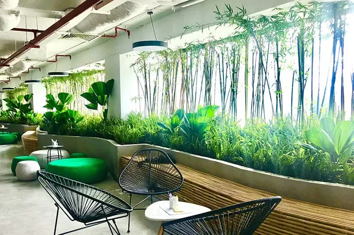49+ Cây Cảnh Nội Thất Tạo Phong Thủy Cho Ngôi Nhà