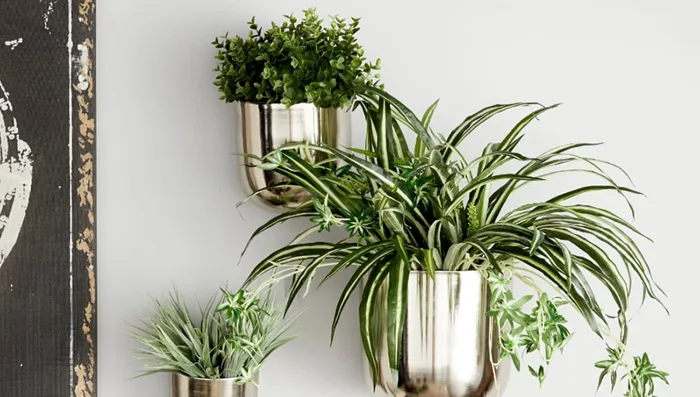 Cách trang trí cây cảnh trong phòng khách đẹp và ấn tượng