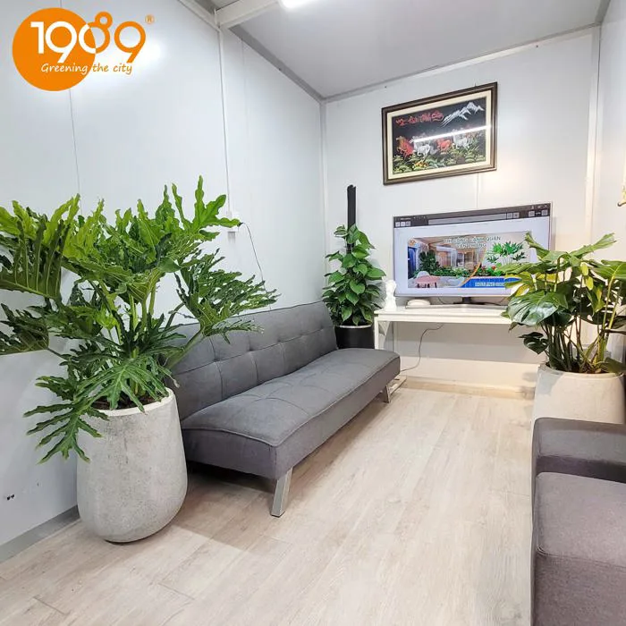 Top Cây Xanh Nội Thất Văn Phòng – Xanh Mát, Dễ Chăm Giá Tốt Tại 89 Landscape