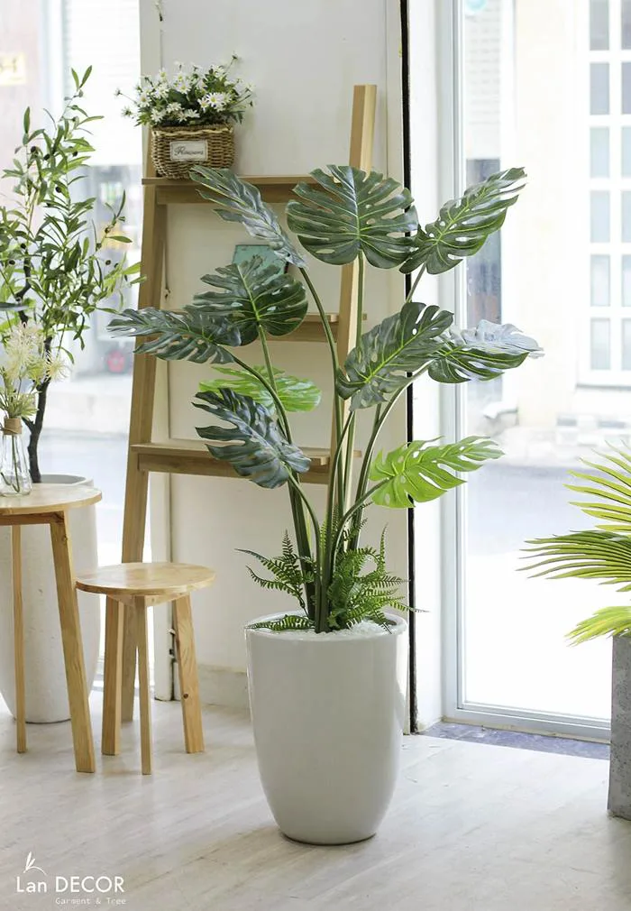 TOP 10 LOẠI CÂY GIẢ ĐƯỢC ƯA CHUỘNG NHẤT TRONG TRANG TRÍ KHÔNG GIAN NỘI Tổng  Kho Sỉ Cây Giả Trang Trí Lan Decor - Giá Từ Nhà Sản Xuất