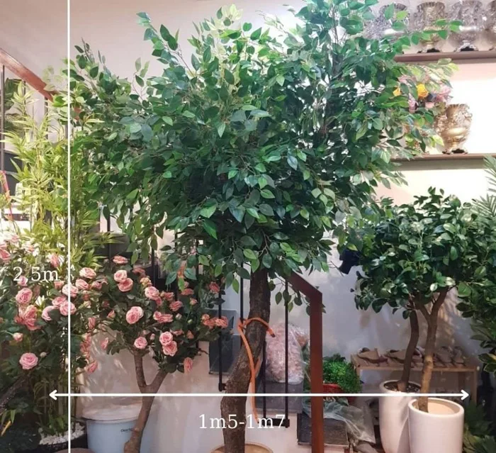 Cây si giả lớn trang trí quán - Hoàng Vũ Gia