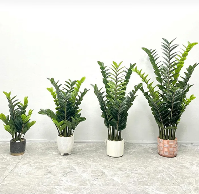 Cây kim tiền giả trang trí chất liệu lá cao su cao cấp