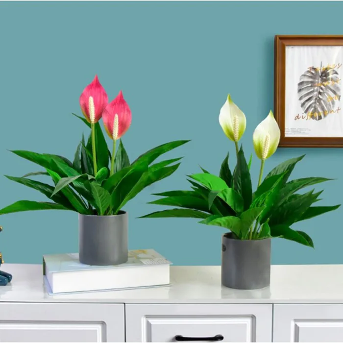 Chậu Cây Kim Tiền Giả Để Bàn Làm Việc, Bàn Học, Trang Trí Giá Sách, Kệ Tủ  Xanh Mát Anhome CKT-02