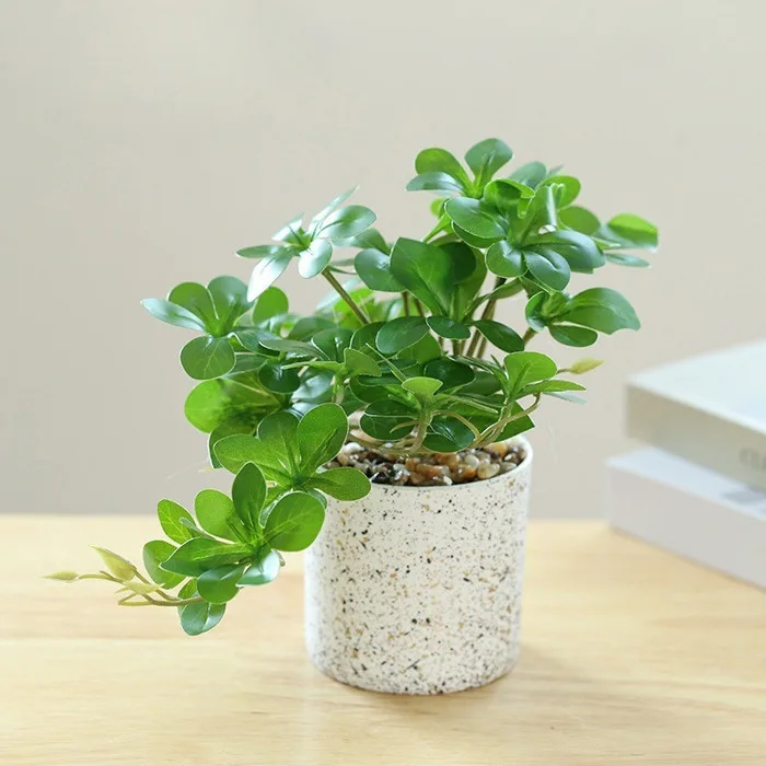 Chậu cây cảnh hình trụ bằng nhựa để bàn, phù hợp trang trí bàn làm việc,  bàn học, kệ tủ tạo không gian xanh mát
