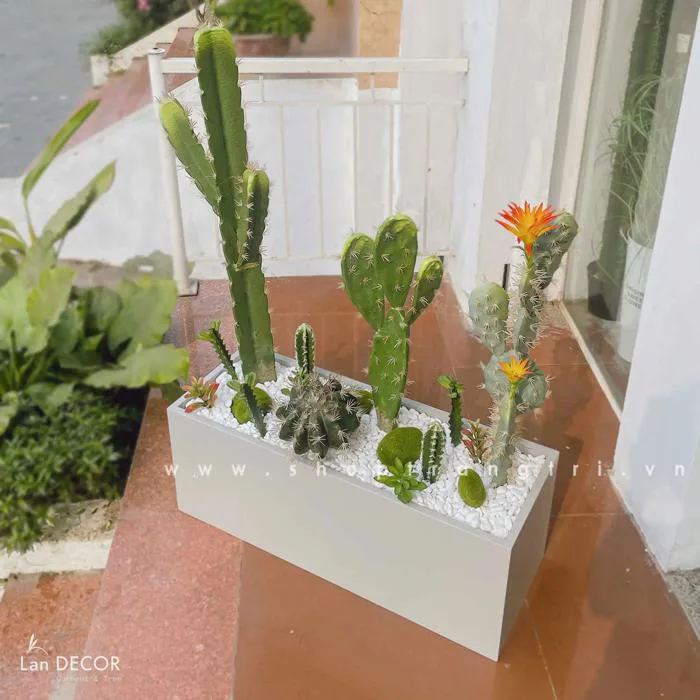 BỒN CÂY XƯƠNG RỒNG TIỂU CẢNH TRANG TRÍ - BC097 Cây Giả Trang Trí nhà Đẹp -  Lan Decor