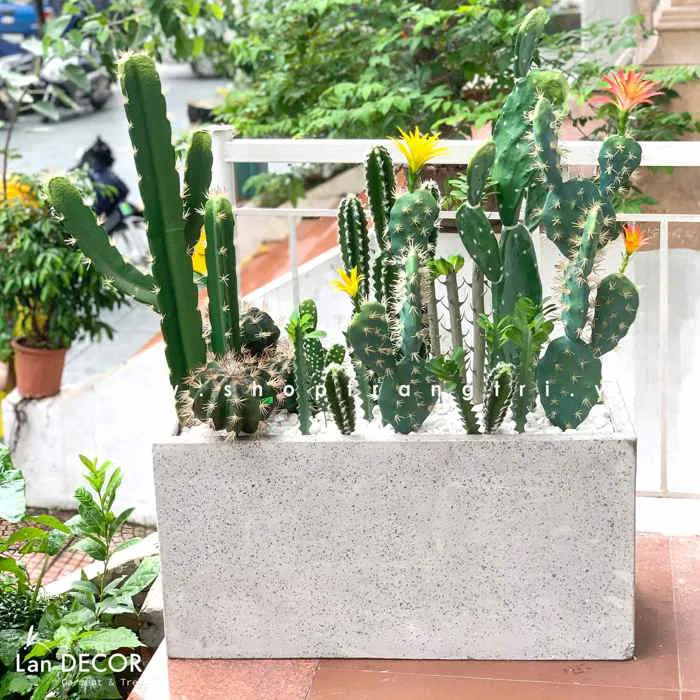 THIẾT KẾ BỒN CÂY XƯƠNG RỒNG TIỂU CẢNH TRANG TRÍ- BC089 Tổng Kho Sỉ Cây Giả Trang  Trí Lan Decor - Giá Từ Nhà Sản Xuất