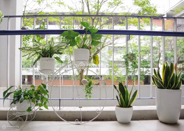 Sáng tạo 'bất tận' với ý tưởng trang trí cửa sổ lớp học bằng cây xanh