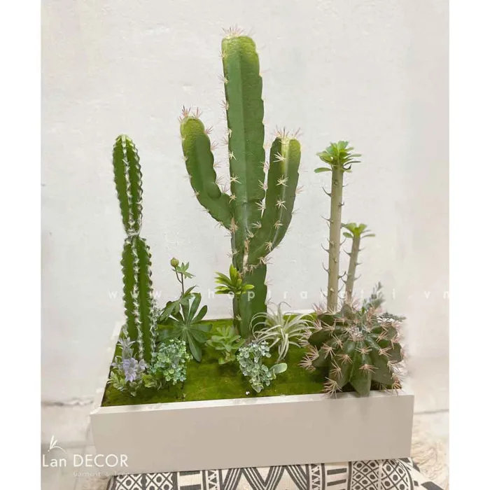 BỒN CÂY XƯƠNG RỒNG TIỂU CẢNH TRANG TRÍ - BC103 Tổng Kho Sỉ Cây Giả Trang Trí  Lan Decor - Giá Từ Nhà Sản Xuất