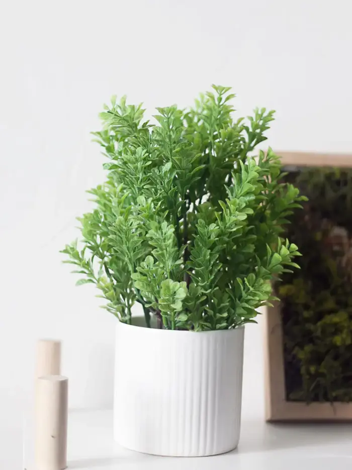 Chậu cây cỏ giả để bàn