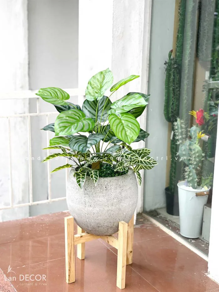 CHẬU CÂY LÁ TÁO TRANG TRÍ KHÔNG GIAN XANH (60CM)- LC2063-5 MIX Tổng Kho Sỉ  Cây Giả Trang Trí Lan Decor - Giá Từ Nhà Sản Xuất