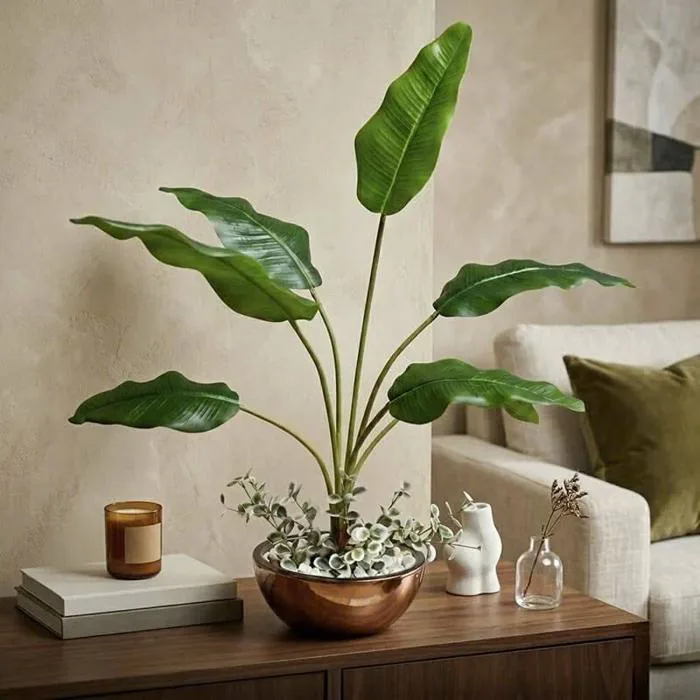Chậu cây chuối để bàn cao 80 cm decor nội thất