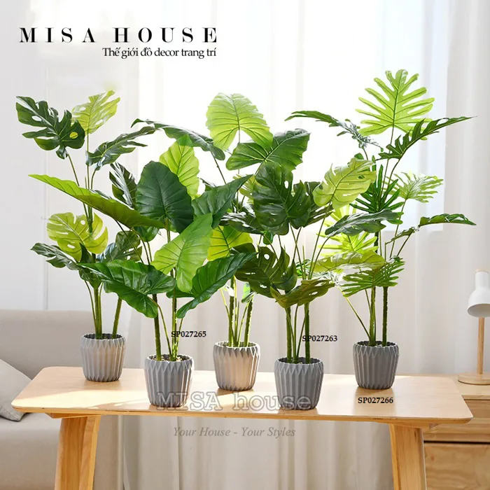 Chậu cây xanh giả cọ rời monstera cây kiểng nhiệt đới decor trang trí phòng  khách phòng ngủ cửa hàng màu xám giá rẻ - Misa House