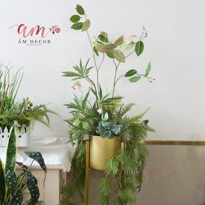 Ấm Plant House - CHẬU CÂY DECOR MIX