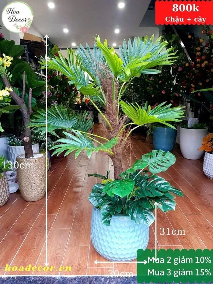 Chậu cây cọ giả trang trí decor cực đẹp – Hoa Decor