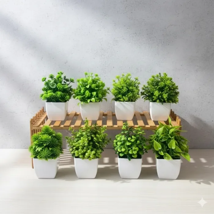 Chậu Cây Trang Trí Để Bàn Decor Chậu Vuông - Bizmo