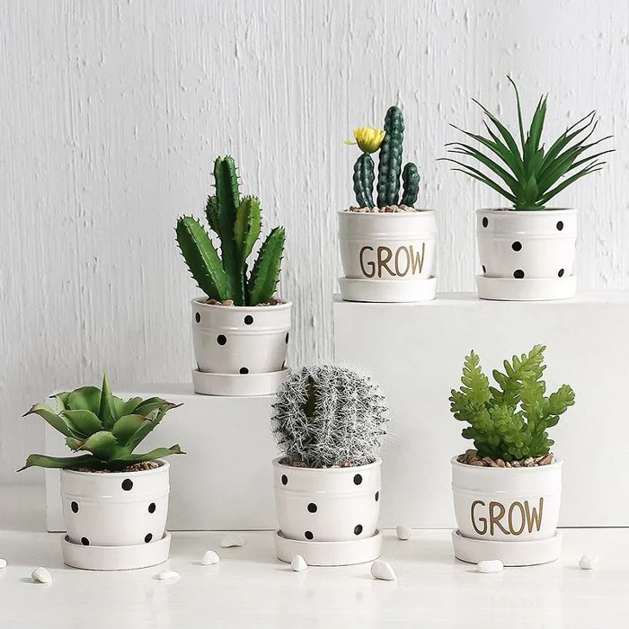 Lưu Lại Ngay Địa Chỉ Bán Cây Cảnh Decor Quán Cafe Đẹp